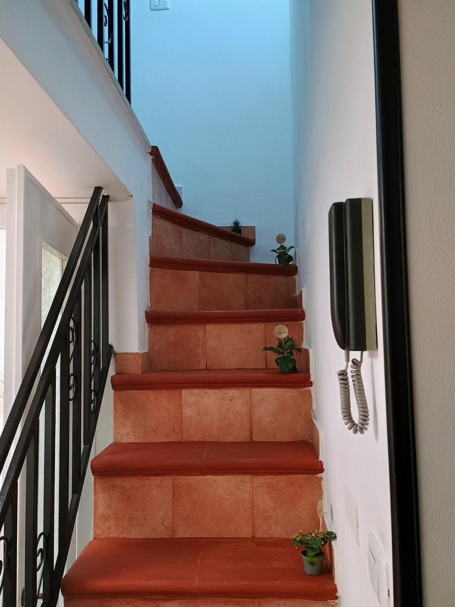 Casa Centro Storico O Capu * Palermo